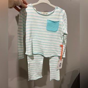 Egg collective New York set